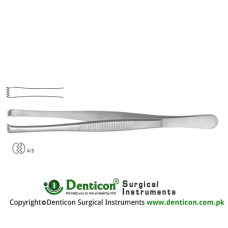 Stone Dissecting Forceps 4 x 5 Teeth Stainless Steel, 15 cm - 6"